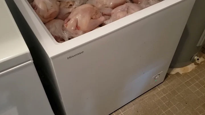 How Many Chickens Can You Put in a 7 Cubic Foot Chest Freezer? Let's find out!