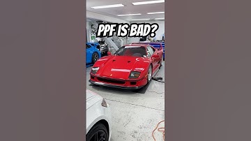 Is PPF Really Worth It? 🛡️