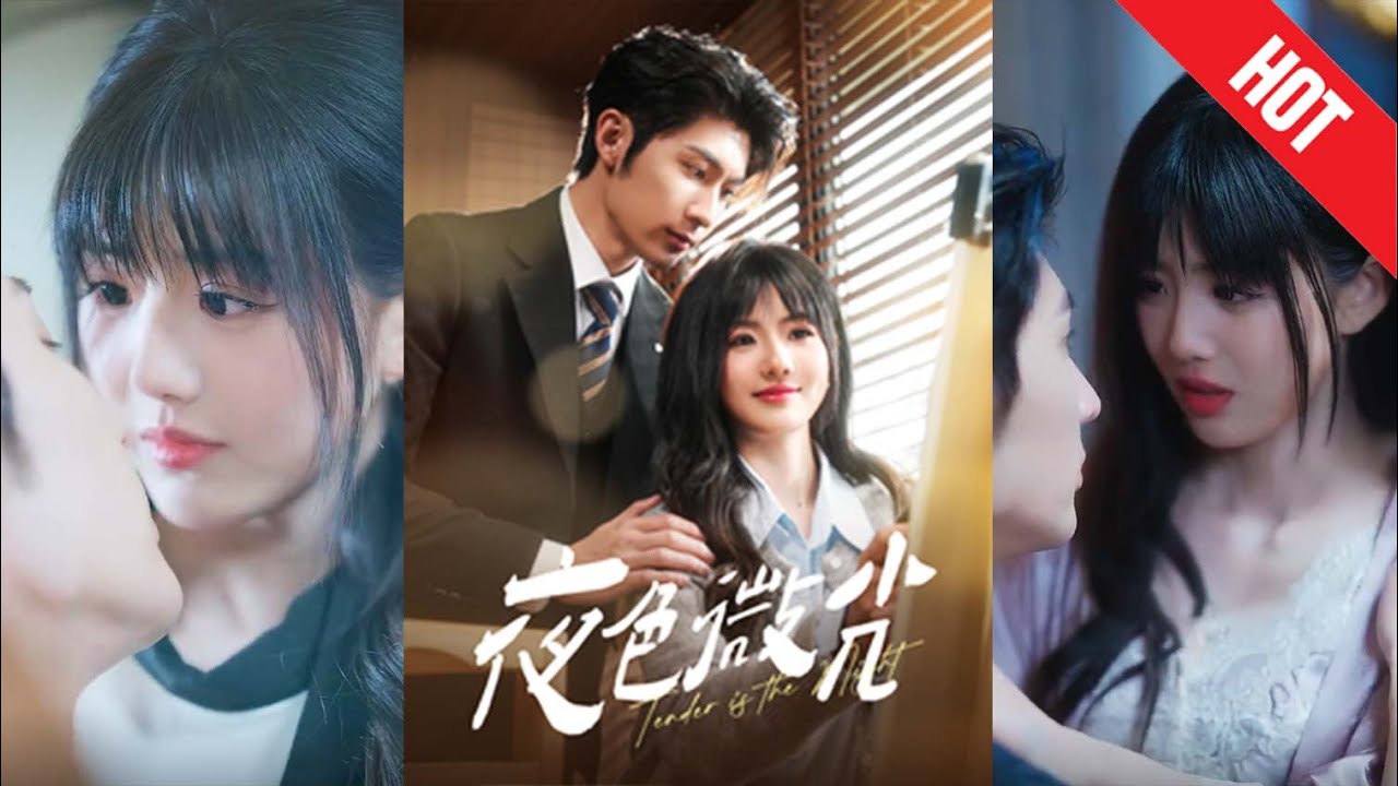 《夜色微光》：职场隐婚与甜蜜误会的故事