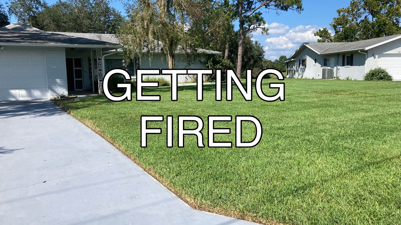 Quality of lawn service too high! - YouTube