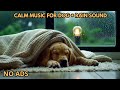 Dog Sleep Music with Rain Sounds for Dogs 🌙 Calming Music for Dogs with Separation Anxiety