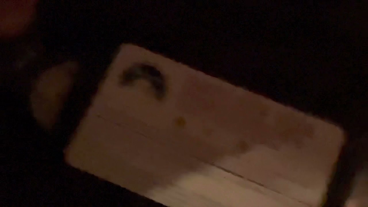 Opening To Happy New Year Charlie Brown 1998 VHS (Screening Copy)