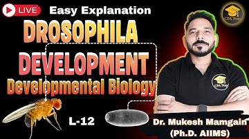 L-12 Drosophila Development | Axis determination | Developmental Biology | #drmukeshmamgain