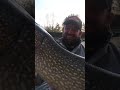 ТАК КЛЮЕТ ТРОФЕЙНАЯ ЩУКА! ДЕРЗКО сматывает ШНУР! #fishing #pikes #рыбалка