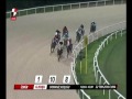 AĞA PERSEN - A3 DOMANİÇ 2016