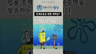 전세사기? 전세보증금 못 준다는 집주인 대처는!? #전세사기특별법 #전세금 #전세보증보험 #전세금반환청구소송 #법률사무소청당