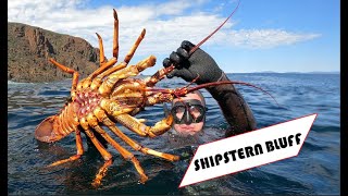 Lobster Hunting Australia's Most DANGEROUS Surf Break | Freediving at Shipstern Bluff