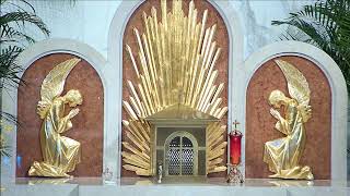 Vigil Mass for the Second Sunday of Easter -- Divine Mercy Sunday -- (Mass for April 12, 2026)