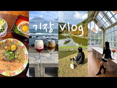 [VLOG] 부산 일상 브이로그ㅣ기장 맛집 신상카페ㅣ부산 기장 가볼만한곳ㅣ용소웰빙공원ㅣ어느 멋진날 아틀리에 은유재 씨에세이ㅣ부산 여행ㅣ