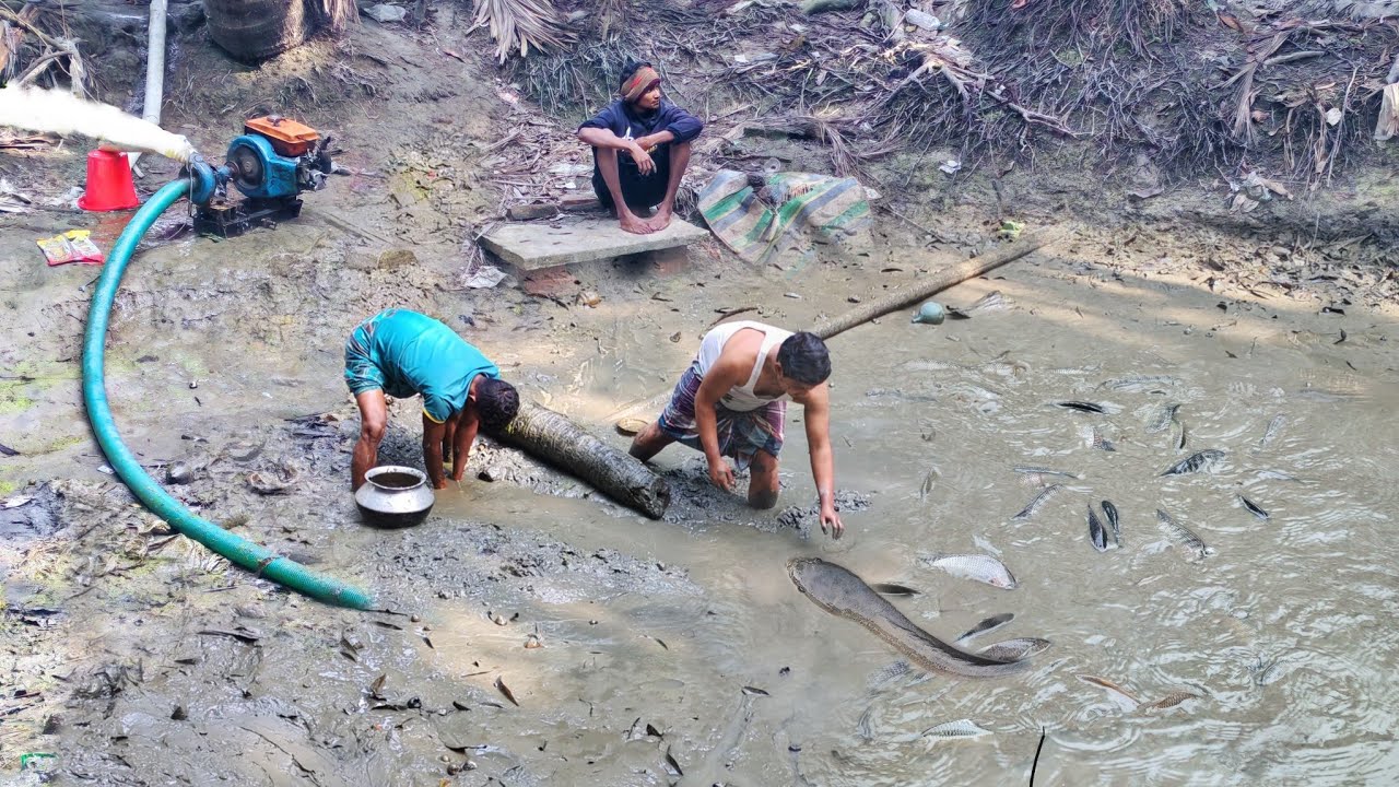 Village Fishing Technique 🐟 Interesting Fishing Video 🐟 Traditional Village Fishing 🐟 Unique Fishing