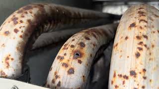 Trane heat exchanger and exhaust hood drama galore