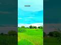 Gama wali film ekadam acchi feel Hove 🥰🥰#trending #YouTube short video#new #2025 #haryanvi  music