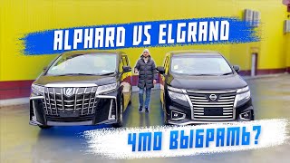 Обзор на Toyota Alphard и Nissan Elgrand. Авто из Японии. Сравнение минивэнов.