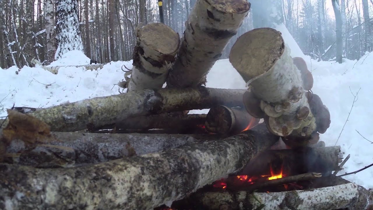 зимняя ночёвка в лесу