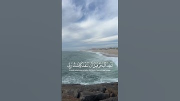 قران الكريم #quran #المصحف #آيات_القرآن #الرحمن #شارك #راحة_نفسية