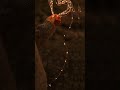 كنت فين محمد فؤاد