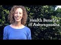 Ashwagandha Health Benefits