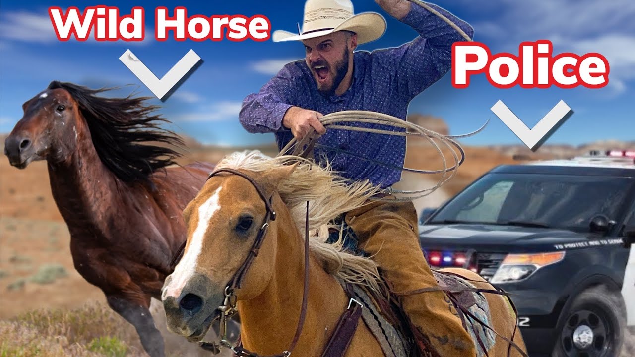 Gathering Wild Horses GONE WRONG!