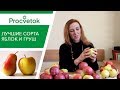 Какие сорта яблонь и груш посадить? Обзор сортов для Средней полосы