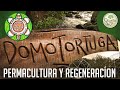 Domo Tortuga - Permacultura y Regeneración en las Sierras en Uruguay.