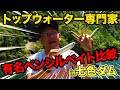 【七色ダム】某有名ペンシルベイトを勝手に比較解説！衝撃を受けた超巨大ペンシルベイトも登場