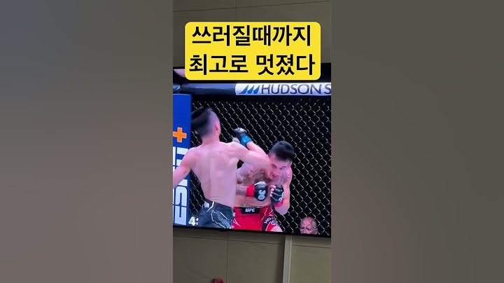 정찬성 할로웨이전 마지막 펀치