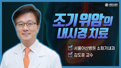 조기 위암의 내시경 치료