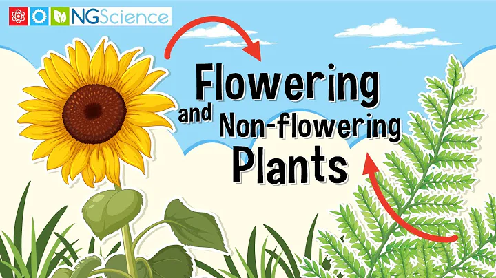 Flowering and Non-flowering Plants - DayDayNews