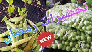 تحضيرات رمضان  طريقة تخزين الجلبانة (البزلاء) في المجمد لمدة زمنية طويلة مع سر الاحتفاظ على لونها