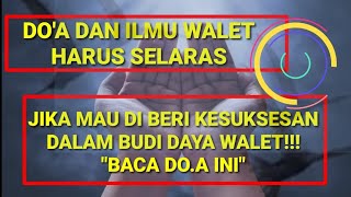 Baca Do'a ini jika ingin sukses di duni walet