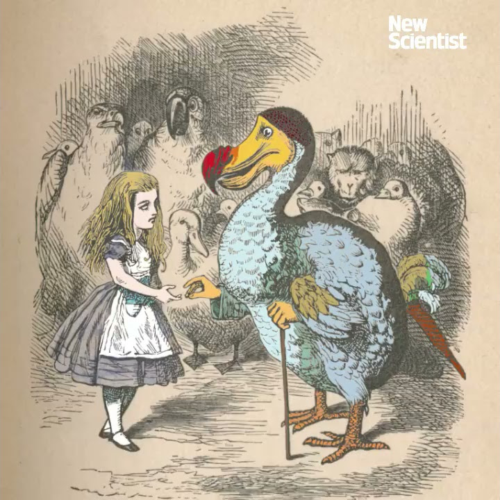 Гого додо. The song of the dodo. Птица додо маврикийский дронт. Dodo лого. Додо пицца логотип.