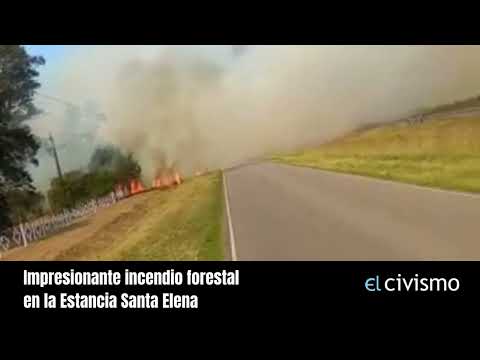 Impresionante incendio forestal en la Estancia Santa Elena