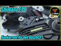 Shimano EP8 - Konkurrent für den Bosch CX? - vitbikesTV