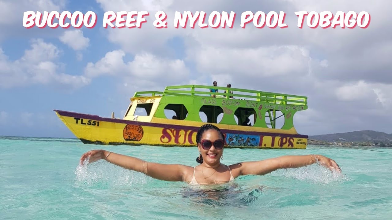 tour-of-the-buccoo-reef-and-nylon-pool-tobago-trinidad-youtuber-youtube