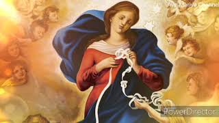 துன்ப முடிச்சுகளை அகற்றும் மாதா .(Mary Untier of Knots ( thunba mudichi avilkum madha))