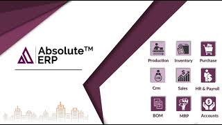 Absolute ERP - Way To Create Item Parameters