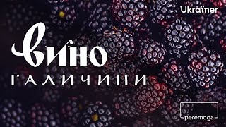 Виноробство Галичини: дикі дріжджі, плодово-ягідне вино й виноград української селекції • Ukraïner