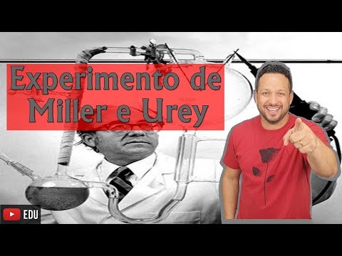 Vídeo: Quais moléculas foram feitas durante o experimento de Miller e Urey?