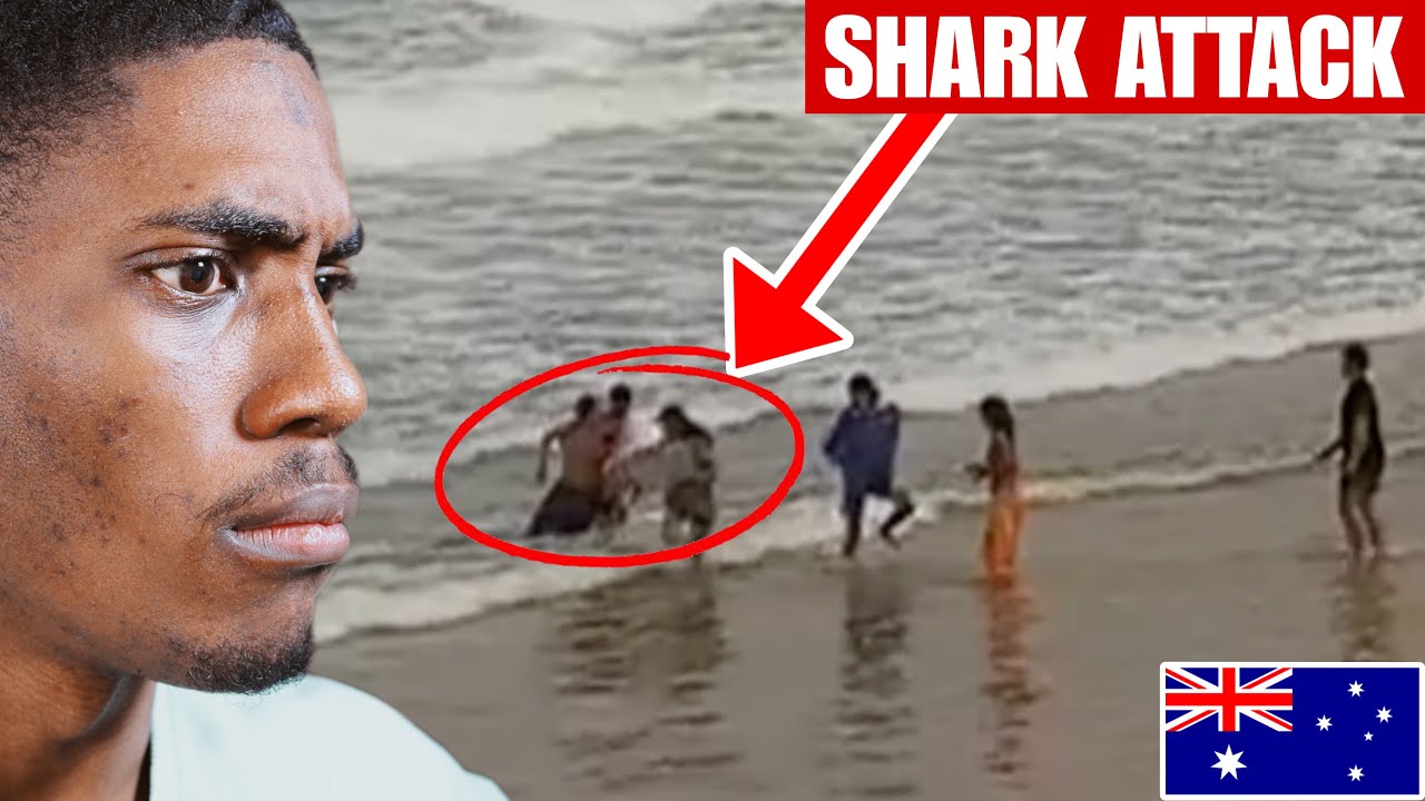 American Reacts to Beaches Closed Because of Shark Attacks