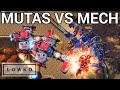 StarCraft 2: MUTAS VS MECH?! (soO vs TY)