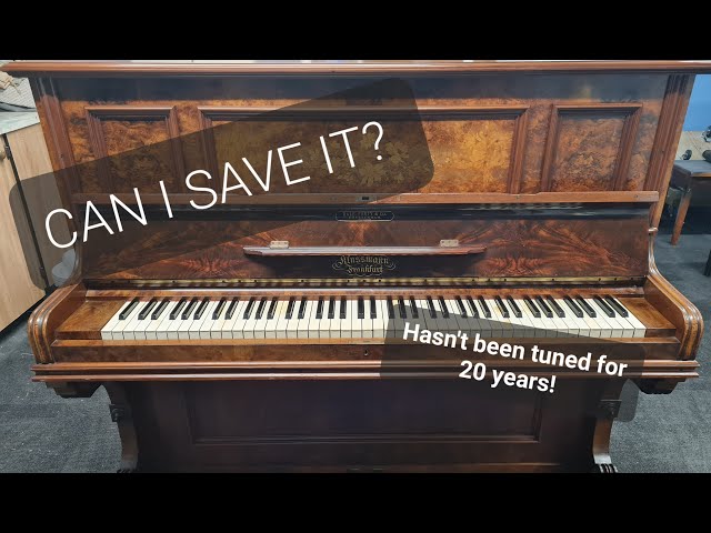 I save this old out of tune upright piano from being thrown away class=