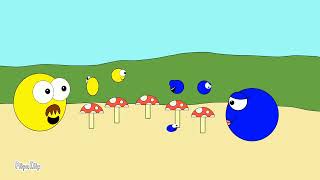 Sponge Beds