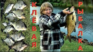 КЛЁВАЯ РЫБАЛКА - Дуэт ЗОРЬКА на РЫБАЛКЕ .