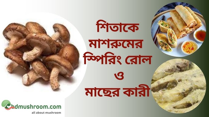 Molli Kavallining erotik fotosuratlari