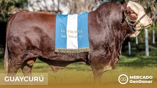 Vídeo: Semen Braford Guaycurú