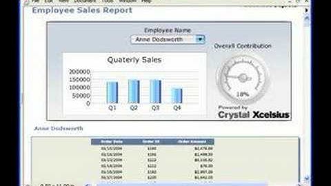Crystal Reports Training - Reporting and Crystal Xcelsius