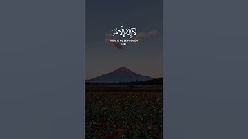 سورة المؤمنون - الشيخ سعد الغامدي #قرآن #قران_كريم #المصحف #اكسبلور