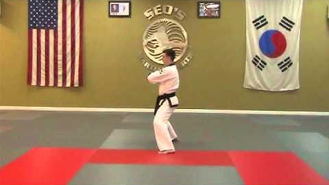 Pyung Ahn 5 - Rear View - Move By Move