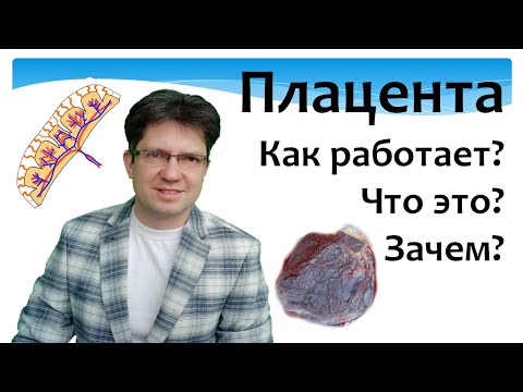 Видео: Как работи плацентата?