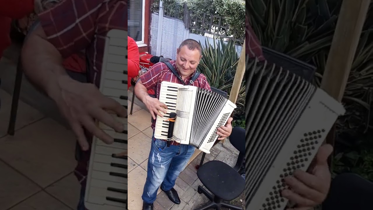 Maricel de la Berzunți - sârbă